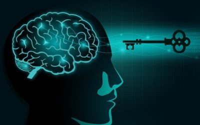 The concordance conundrum: the value of improving patient experience