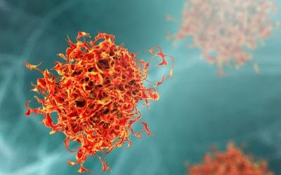 Two RNA-binding proteins could contribute to cancer therapy development