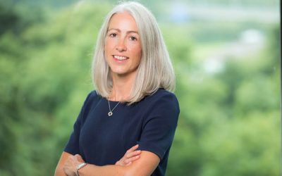 New managing director joins MSD UK