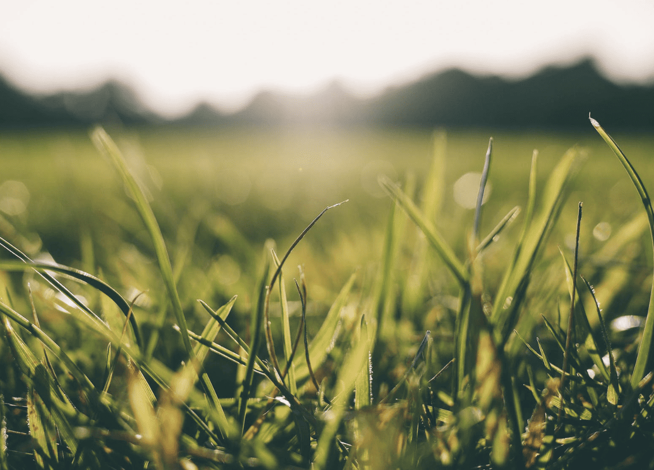 Screen_Shot_2019-12-04_at_00