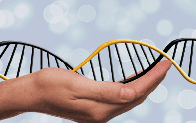 NIHR/MRC fund new study of potential genetic roots of ME