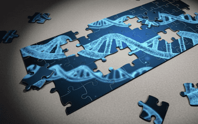 New genetic test could pick out ‘high risk’ bone marrow cancer patients