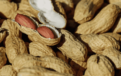 Positive data from LEO Pharma’s delgocitinib cream trial