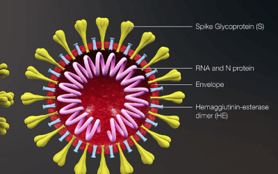 EU lockdowns saved more than 3m lives, research indicates
