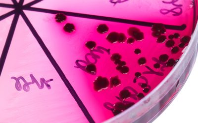 UK launches world’s first ‘subscription-style’ payment model for antibiotics