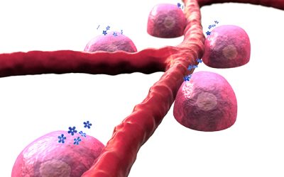 Cancer blood tests detects 8 tumour types