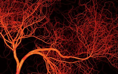 Cambridge researchers develop robotic nerve devices for neurological conditions