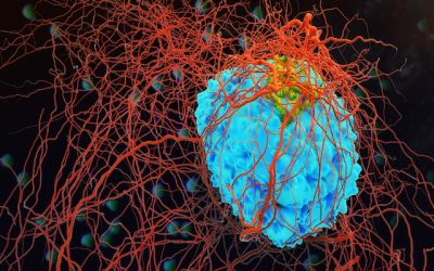 MSD’s Keytruda bags approval for new skin cancer indication