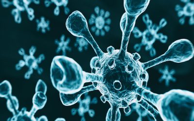 Total UK cases of Omicron rise to nine