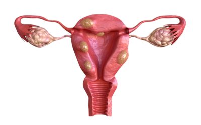 Nationwide launch for pioneering fertility study