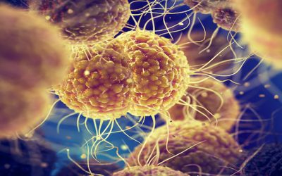 Gonorrhoea cases hit highest level since records began