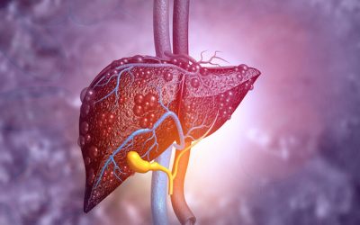 KCL’s mini liver model promises more effective drug testing method