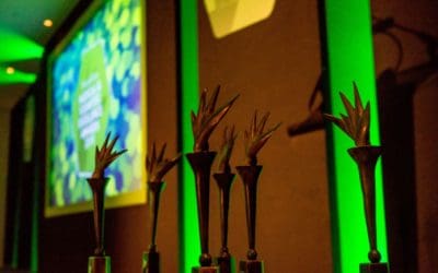 Categories refined for the 2019 Medical & Scientific Excellence Awards