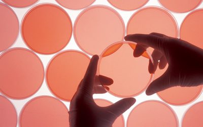 Merck links with Array, Pierre Fabre to test cancer combo