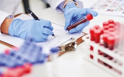 Glasgow scientists develop first bone marrow model to support human stem cells