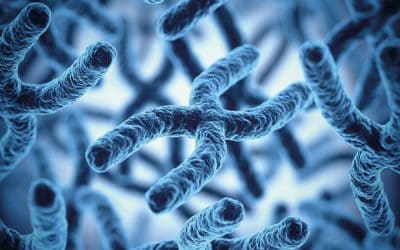 Researchers identify gene that causes heart defects in Down syndrome