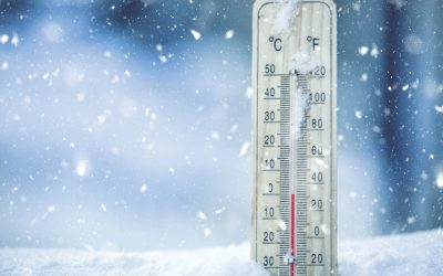 Roche launches digital PCR system for ultra-rare and emerging diseases