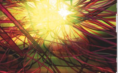 Merck partners with Innervia on bioelectronic therapy development