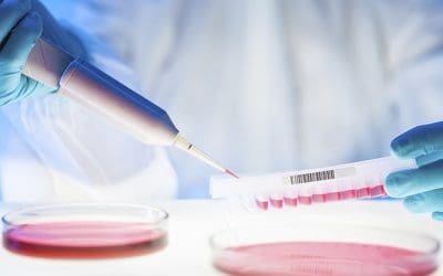 Parkinson’s UK creates Vivifi Biotech to research ‘promising’ experimental treatment