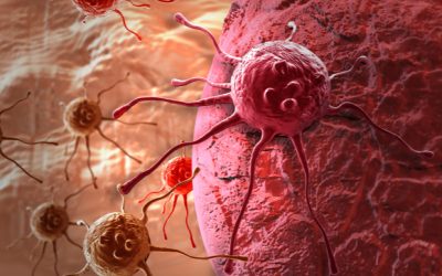 Smart People: Jeff Elton