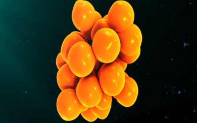 Battling the cytokine storm