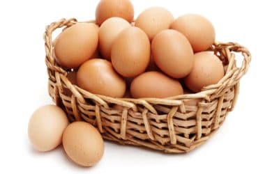 Is pharma putting all of its eggs in one COVID basket?