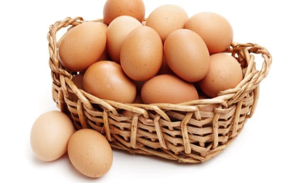 Is pharma putting all of its eggs in one COVID basket?