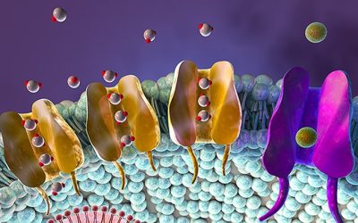 Aston University receives £10m for membrane institute